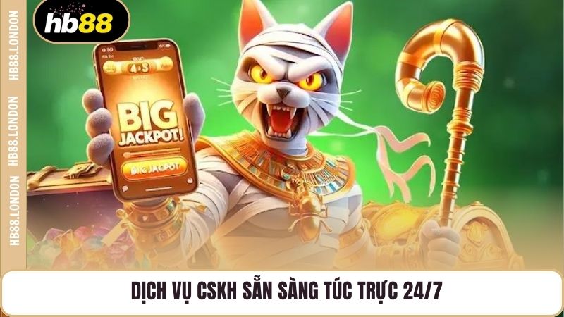 Dịch vụ CSKH sẵn sàng túc trực 24/7