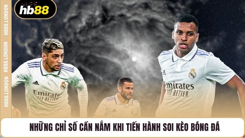 Những chỉ số cần nắm khi tiến hành soi kèo bóng đá