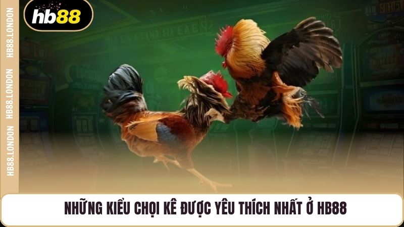 Những kiểu chọi kê được yêu thích nhất ở HB88
